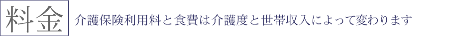 介護保険利用料と食費は介護度と世帯収入によって変わります
